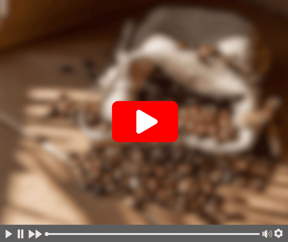 morning_coffee_loophole_video.jpg